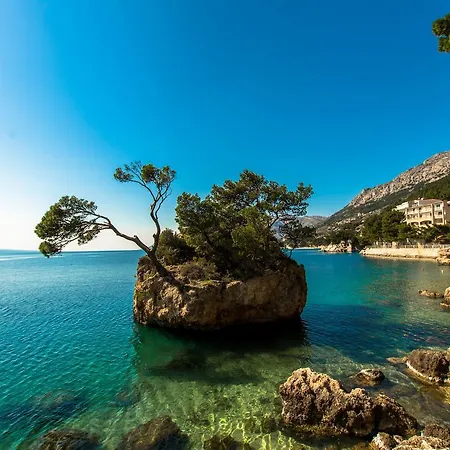 Near The Center Masrec * Makarska